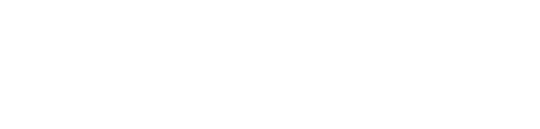 Connestee Falls Realty Logo