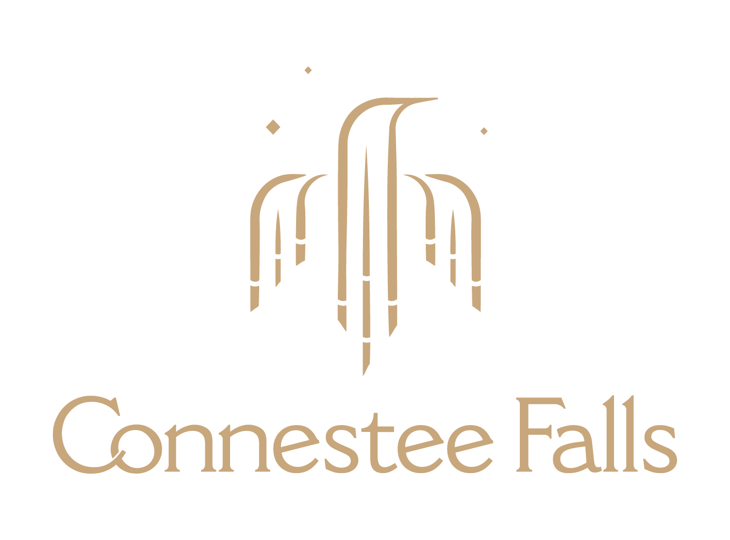 Connestee Falls Logo